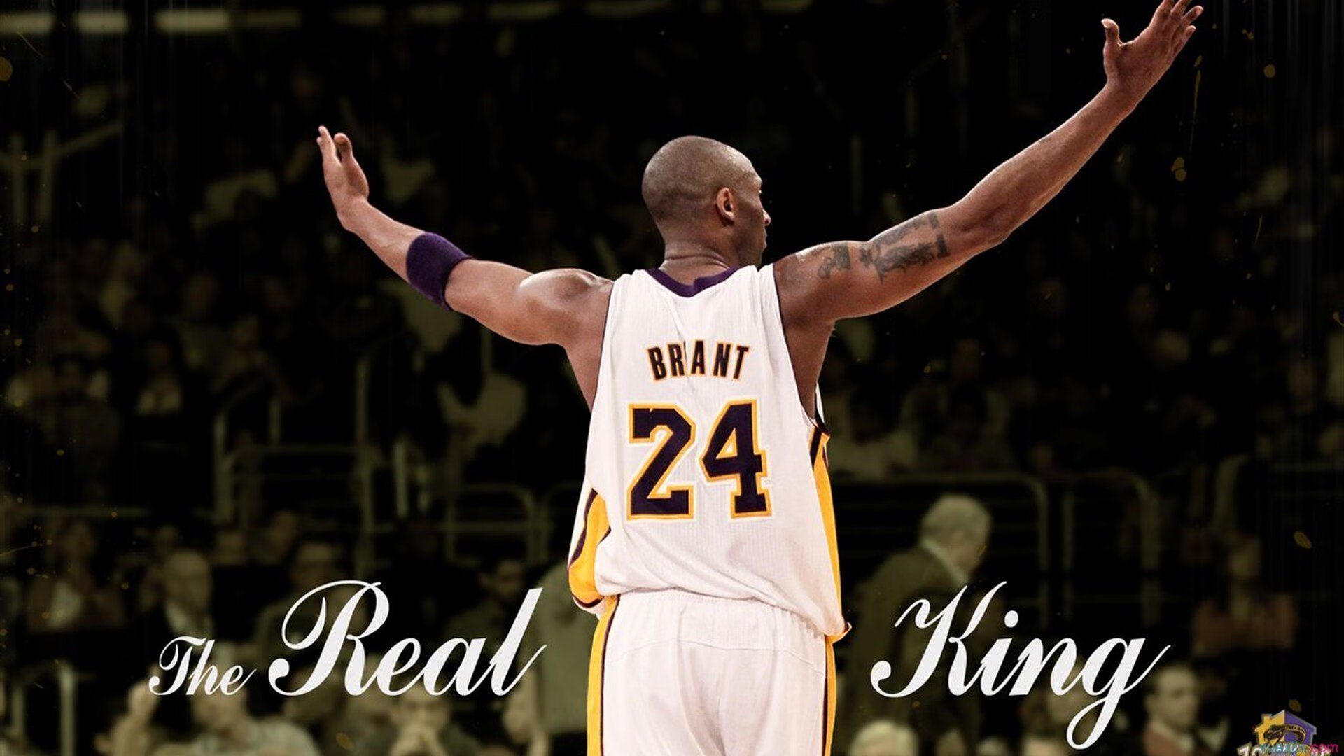 门迪之盾，当奥地利撕碎波兰，一个非典型英雄如何扛起整个国家的重量