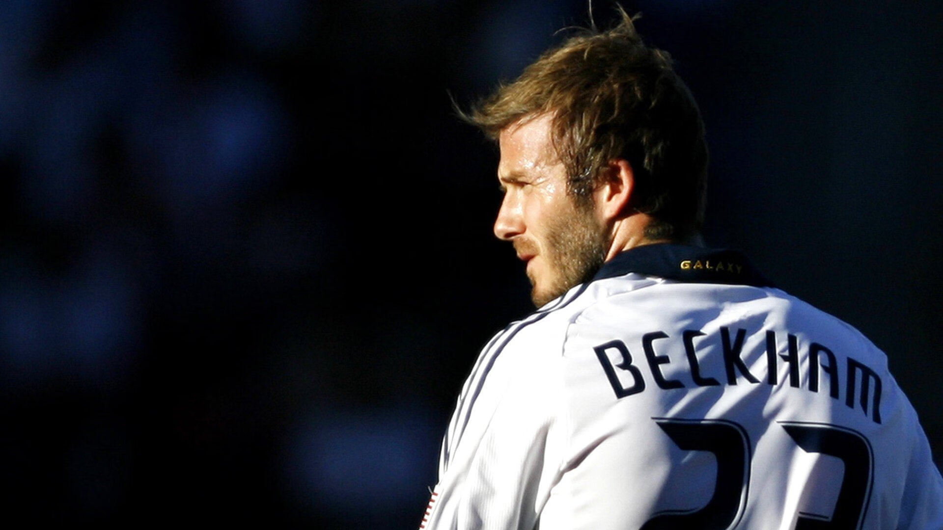 孤星与星河,德约科维奇以戴维斯杯完胜之姿,扛起塞尔维亚的网球星空