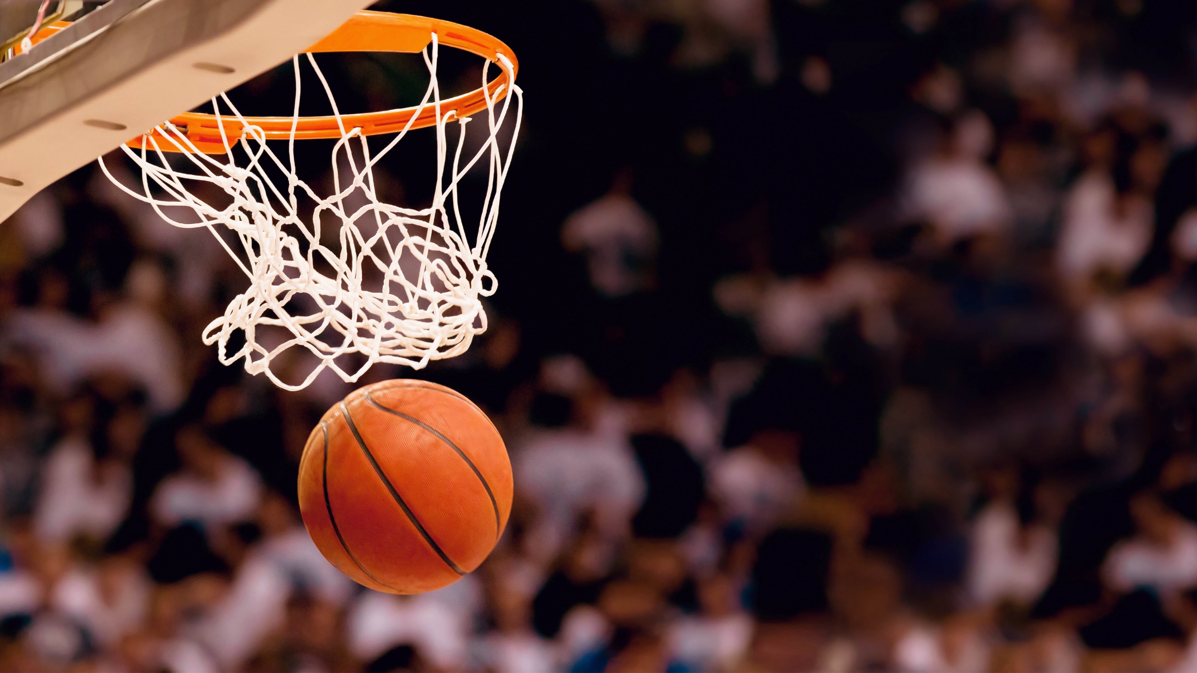 孤峰对决，当多特蒙德的黄墙碾碎蓝黑，楚阿梅尼的孤胆王座照亮国家德比
